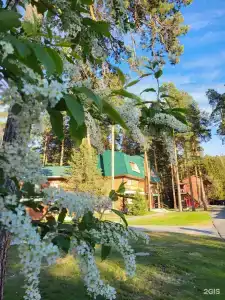 Родники - 26
