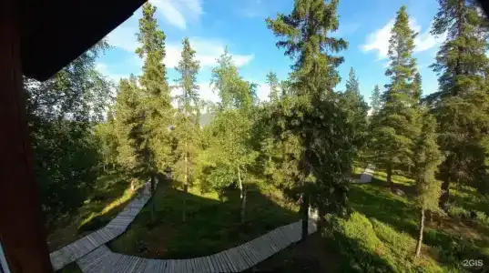 Экостровская - 15