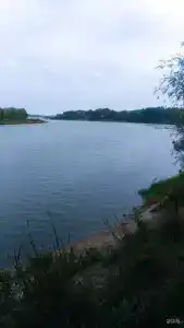 Два белых льва на Дону - 11