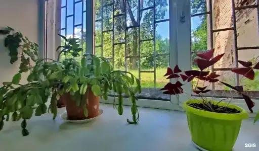 Паломник. Николо-Угрешский монастырь - 10