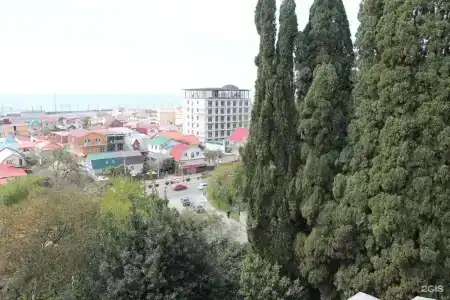 Роза - 74