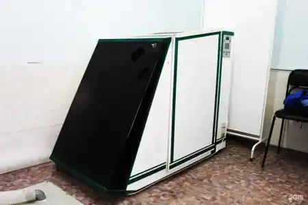 Дельфин - 34