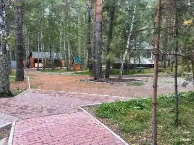 Белая сова - 53