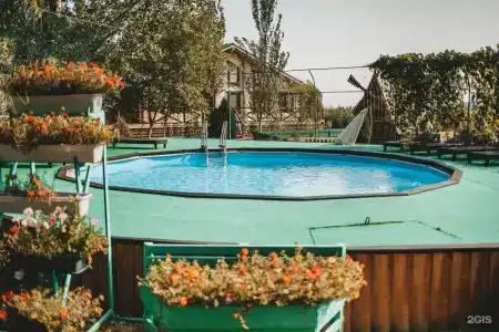 Золотой лотос - 21