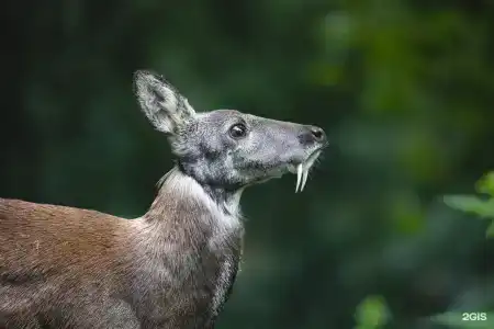 Эко-центр Таловское - 85
