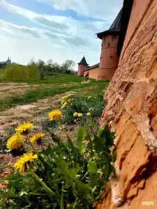 Усадьба Веранда - 55