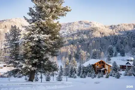 Cosmos Collection Altay Resort - 75
