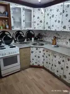 Сосновый бор - 61
