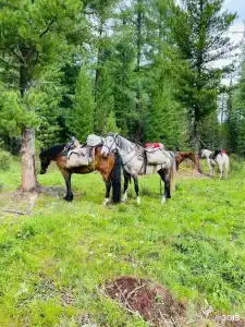 Глэмпинг Место Силы - 99