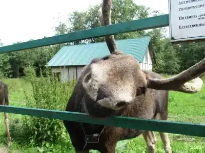 Центральный - 75