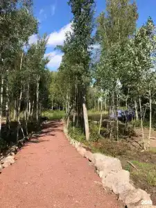 Глэмпинг на Вуоксе - 50