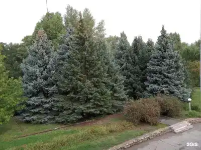 Ахтуба - 69