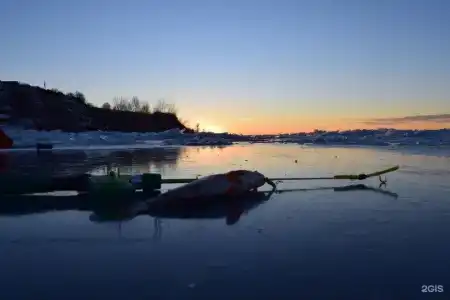 Крылатый - 78