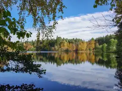 Русский - 26