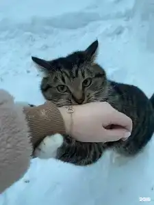 Живой Ручей - 58