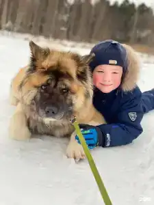 Снегурия - 102