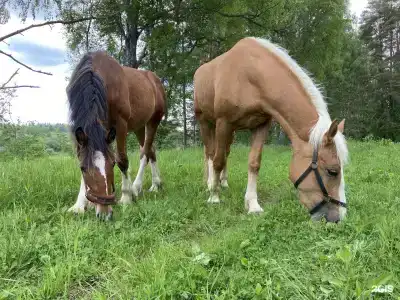 Верхнее Никольское - 27