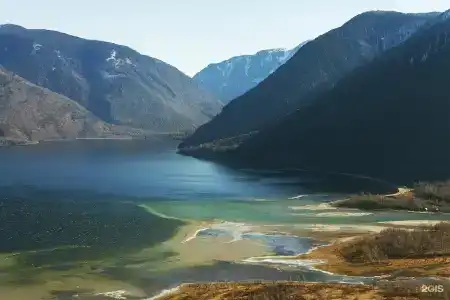 Манул Кёл - 2