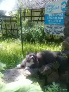 Мельница Рантала - 62