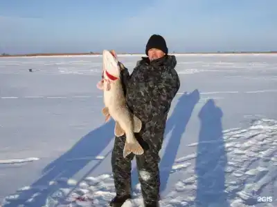 Зюйд-вест - 173