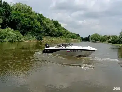 Fish Sense - 45