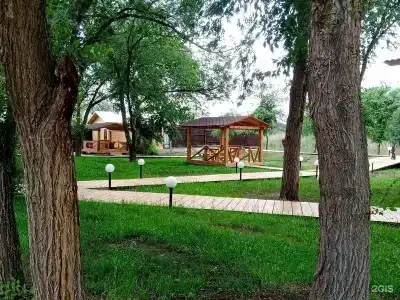 Fish Sense - 38