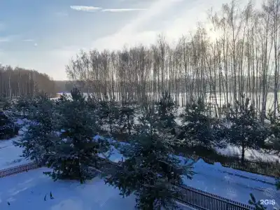 Николо-Поле - 67