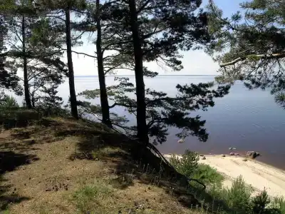 Смоленка - 2