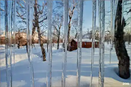 Kamchatka Forest Lodge - 35