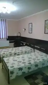 Мишель - 15