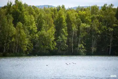 Шале на воде - 16