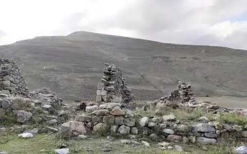 Фруктовый сад - 14