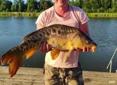 Fish Place - 75