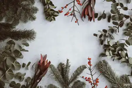 Зависть - 48