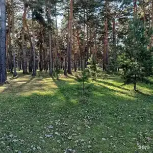 Прокопьевский - 15