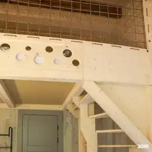 Вершина - 141