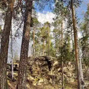 Аракуль - 31