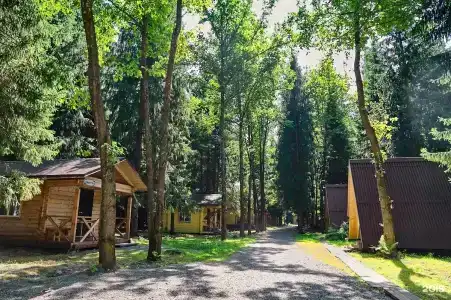 Лесовичок - 23