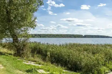 Белая Цапля - 21