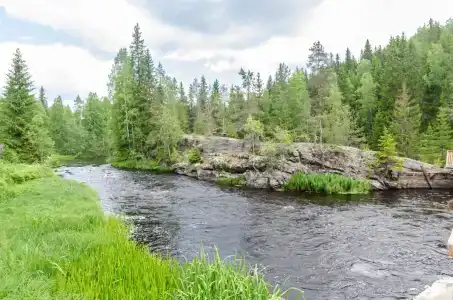 Хекселя - 46