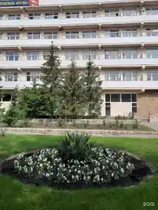 Вешенский - 29