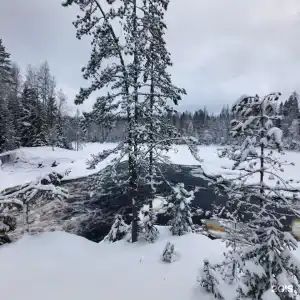 RiverBank - 66