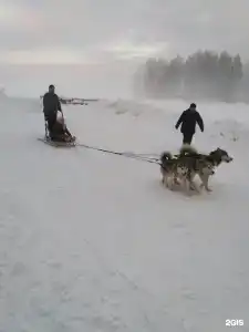 Загородный клуб VALDAY HUNTING & COUNTRY CLUB - 147