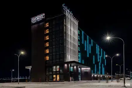 Cosmos Omsk - 30