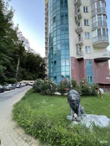 Голд Родина - 59