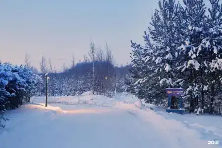 Окуневая - 112
