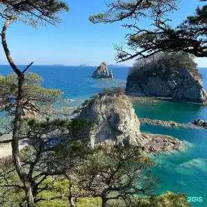 Красный кот - 1