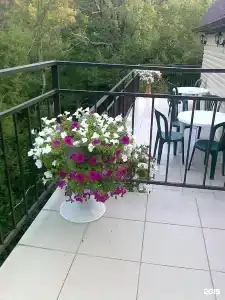Дикий Берег - 14