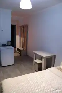 Бонапарт - 15