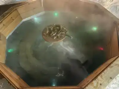 Тотем - 63
